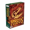 Fossilis : Board Games : Gameria