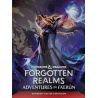 D&D Forgotten Realms Adventures in Faerun Regular Cover (Inglés) | Rol | Gameria