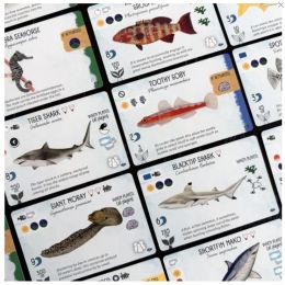 Finspan Tiburones y Arrecifes | Juegos de Mesa | Gameria