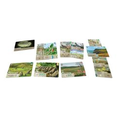 Forest Shuffle Dartmoor Exmoor | Juegos de Mesa | Gameria